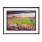 St James' Park Stadium Fine Art Exeter City FC